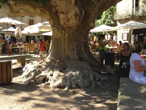Saint-Guilhem-le-Désert, un des Plus Beaux Villages de France