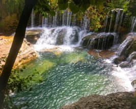 Les Gorges de la Vis, canyon encaissé entre les causses