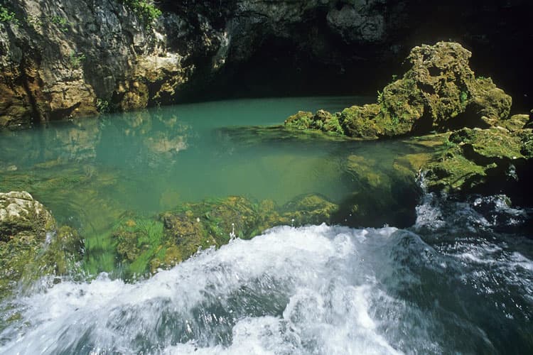 Les Gorges de la Vis, canyon encaissé entre les causses
