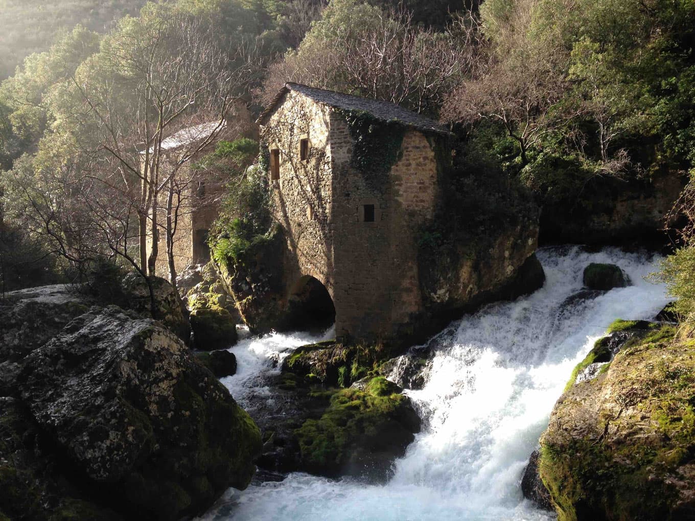 Les Gorges de la Vis, canyon encaissé entre les causses
