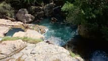 Les Gorges de la Vis, canyon encaissé entre les causses